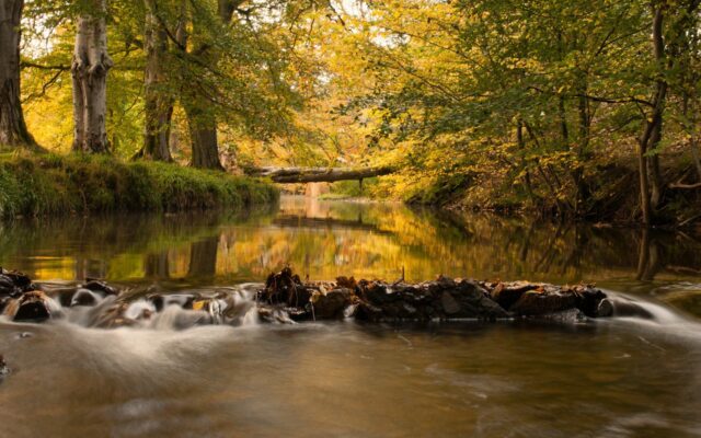 River2